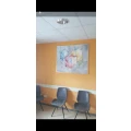 Dr.med. Sabine Seidel Fach&auml;rztin f. Allgemeinmedizin Homburg