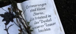 Logo Dr.med. Thomas Sauer Facharzt für Allgemeinmedizin