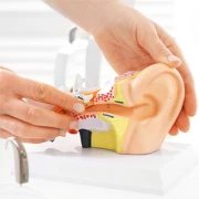 Dr.med. Tobias Berg Facharzt für HNO-Heilkunde Köln