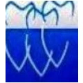 Logo Barber, Valentin Dr.med.