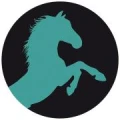Logo Kneucker, Annette Dr.med.vet.