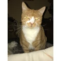 Dr.med.vet. Bernd Falke Tierarzt Rheinberg