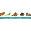 Logo Wiegand, Birgit Dr. med. vet.