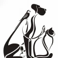 Dr.med.vet. Cindy Enders Tierarztpraxis Brand-Erbisdorf