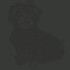 Logo Dr. med. vet. Hermann Starker Tierarzt