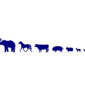 Logo Sauer, Martin Dr.med.vet.