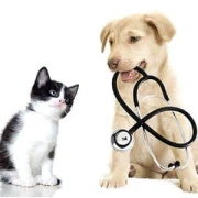 Dr.med.vet. Richard Schuh Dr.med.vet. Inka Schlemmer Tierarztpraxis Mettendorf