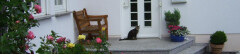 Logo Dr.med.vet. Susanne Köster prakt. Tierärztin