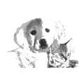 Logo Kaser, Wolf Dr.med.vet.