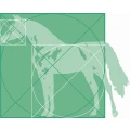 Dr. Norbert Wolff Fachtierarzt f&uuml;r Pferde M&uuml;nchen