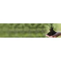 Logo Scholz Immobilien-Concept, Renate Dr.