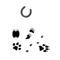 Logo Kilian, Sven Dr.