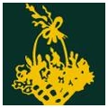 Logo Zimmermann, Ulrich Dr.