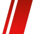 Logo Drayer Baumpflegerbedarf