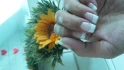 Logo Dream Nails Studio Nagelstudio