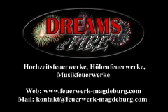 Logo Dreams of Fire