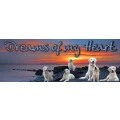 Logo Dreams of my heart