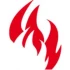 Logo Dross Professional Services GmbH
