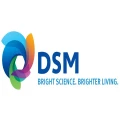 Logo DSM Verwaltungs-GmbH