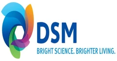 Logo DSM Verwaltungs-GmbH