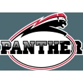 Logo D&uuml;sseldorfer Panther
