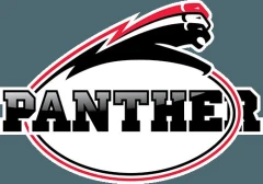 Logo D&uuml;sseldorfer Panther