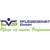 Logo DVS Pflegedienst Schwalmtal GmbH