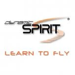 Logo Dynamic Spirit GmbH & Co. KG
