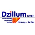 Logo Dzillum GmbH