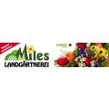 Logo E. Miles Blumenhaus