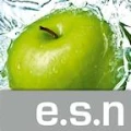 Logo e.s.n Agentur f&uuml;r Produktion und Werbung GmbH