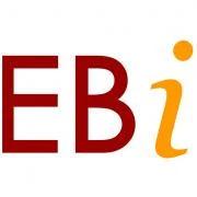 Logo EBI Verein für Erziehung Bildung und Integration e. V.