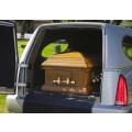 Eckhardt Fritz Bestattungs-Institut Inh. M.-A. Zahradnik Bad Homburg