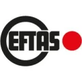 Logo EFTAS Fernerkundung Technologietransfer GmbH