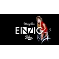 Logo EINZIG Bikes