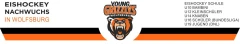 Logo Eis Arena Wolfsburg