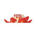 Logo Eis-Caf&egrave;