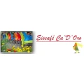 Logo Eiscafe Ca'D'Oro Inh. Annette Santini