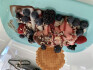 Logo Eiscafe La Dolce Vita Eiscafe