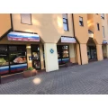 Elbrus Frankenthal