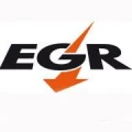 Logo Elektrizit&auml;tsgenossenschaft Rettenberg