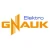 Logo Elektro Gnauk
