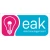 Logo Elektroanlagen Kahl