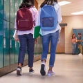 Elisabeth-Schmitz-Schule Hanau