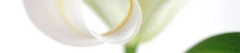 Logo Ellen Gräf Fachärztin für Innere Medizin