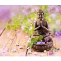Logo Wellness-Lounge, Elvira Holzer