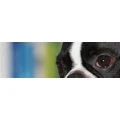 Logo Emde Helmut