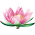 Logo EMDR-Traumatherapie Inh.Brigitte Meier