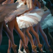 Engelhardt-Weckmann Ballettschule Niddatal