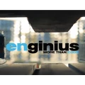 Logo ENGINIUS Beratungsgesellschaft f&uuml;r Informationstechnologie mbH